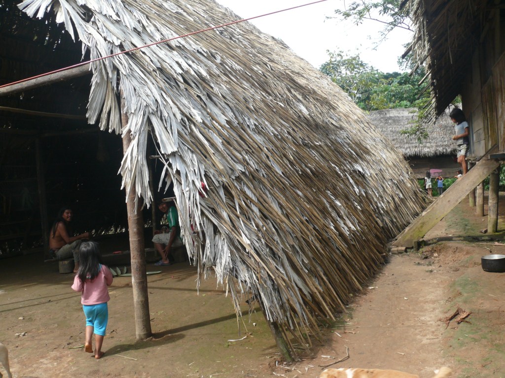 Yasuni - Huaorani  - copyright Save America's Forests